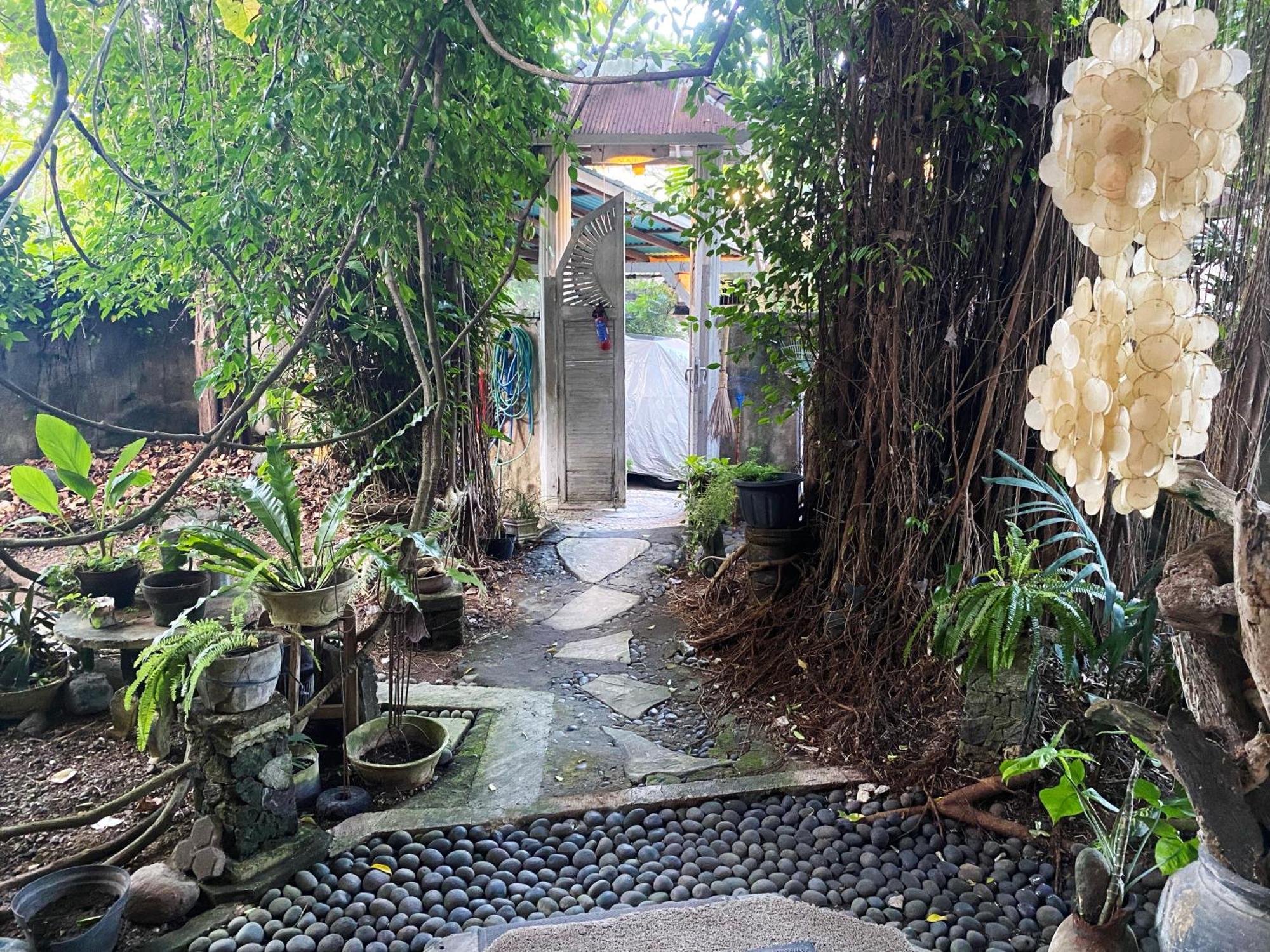 Shady Grove Healing Centre & Homestay W House Rules Please Read Before Booking 발리 사누르 외부 사진