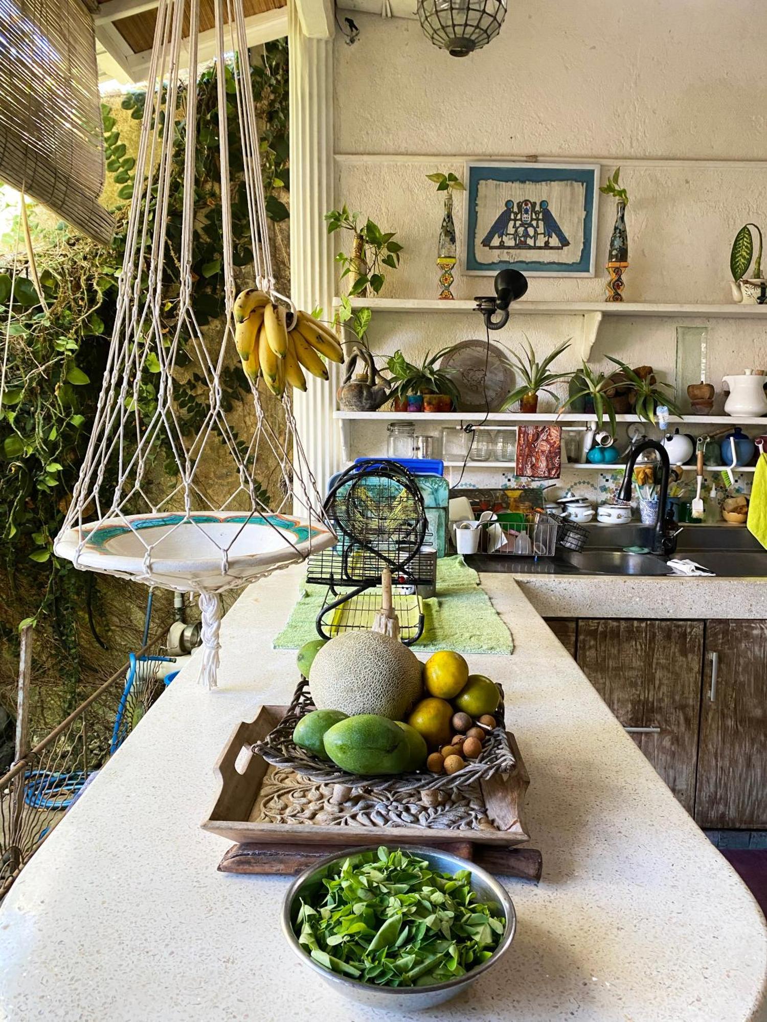 Shady Grove Healing Centre & Homestay W House Rules Please Read Before Booking 발리 사누르 외부 사진