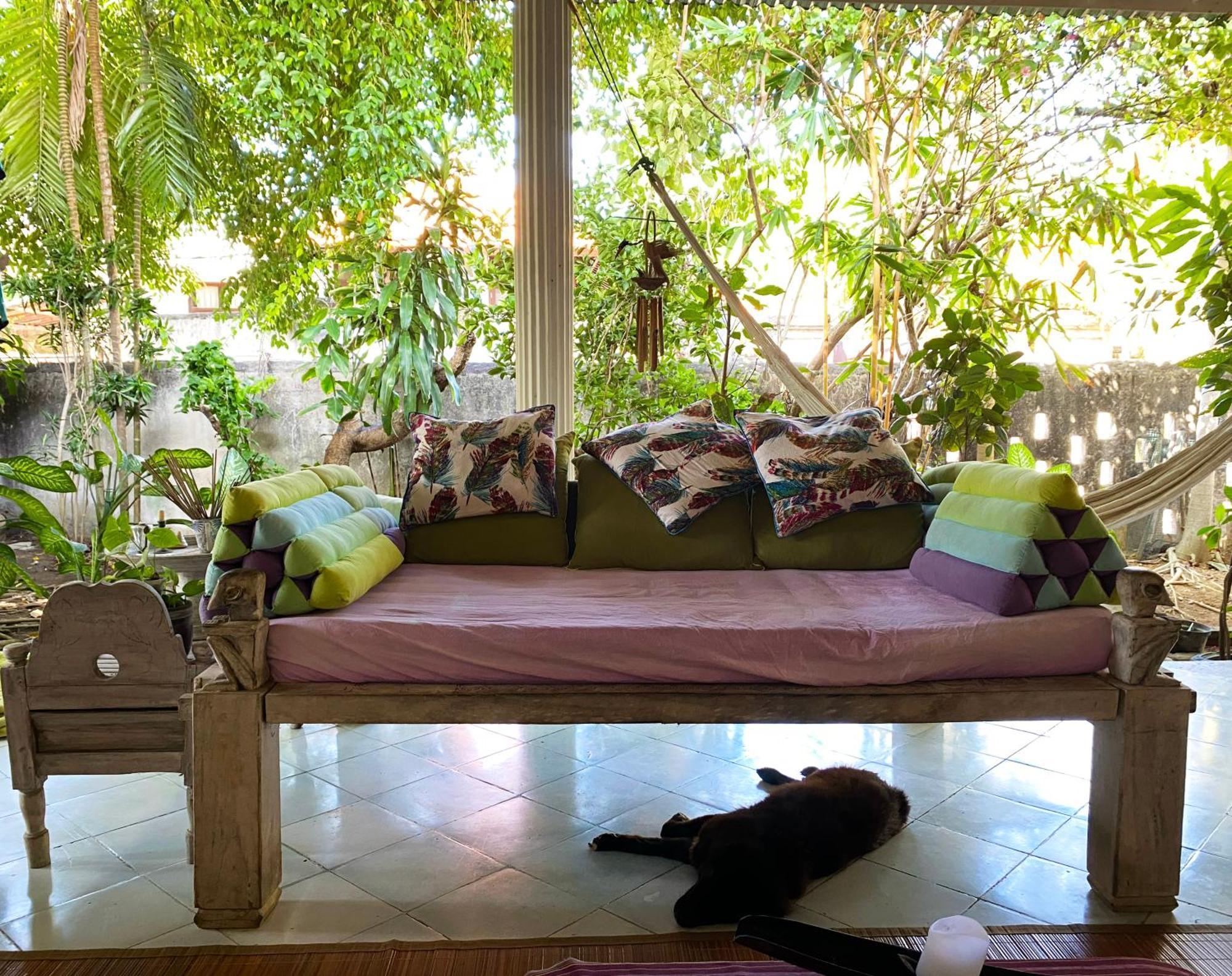 Shady Grove Healing Centre & Homestay W House Rules Please Read Before Booking 발리 사누르 외부 사진