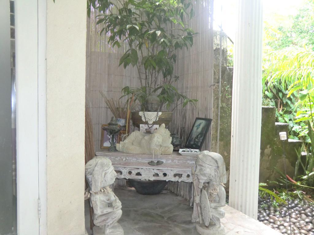 Shady Grove Healing Centre & Homestay W House Rules Please Read Before Booking 발리 사누르 외부 사진