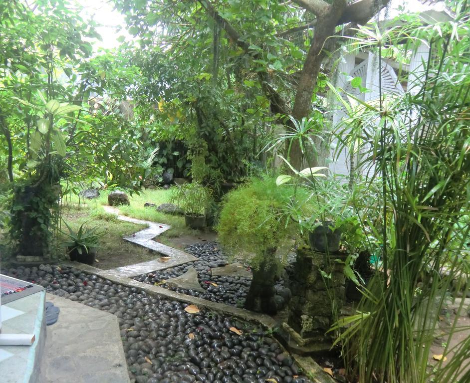 Shady Grove Healing Centre & Homestay W House Rules Please Read Before Booking 발리 사누르 외부 사진